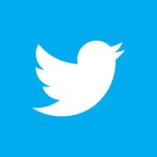 twitter logo blue